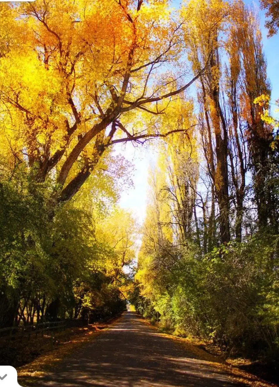 مرا دریاب که دل دریایی من بی تو مرداب است|کتاب و مجله ادبی|بوشهر, |دیوار