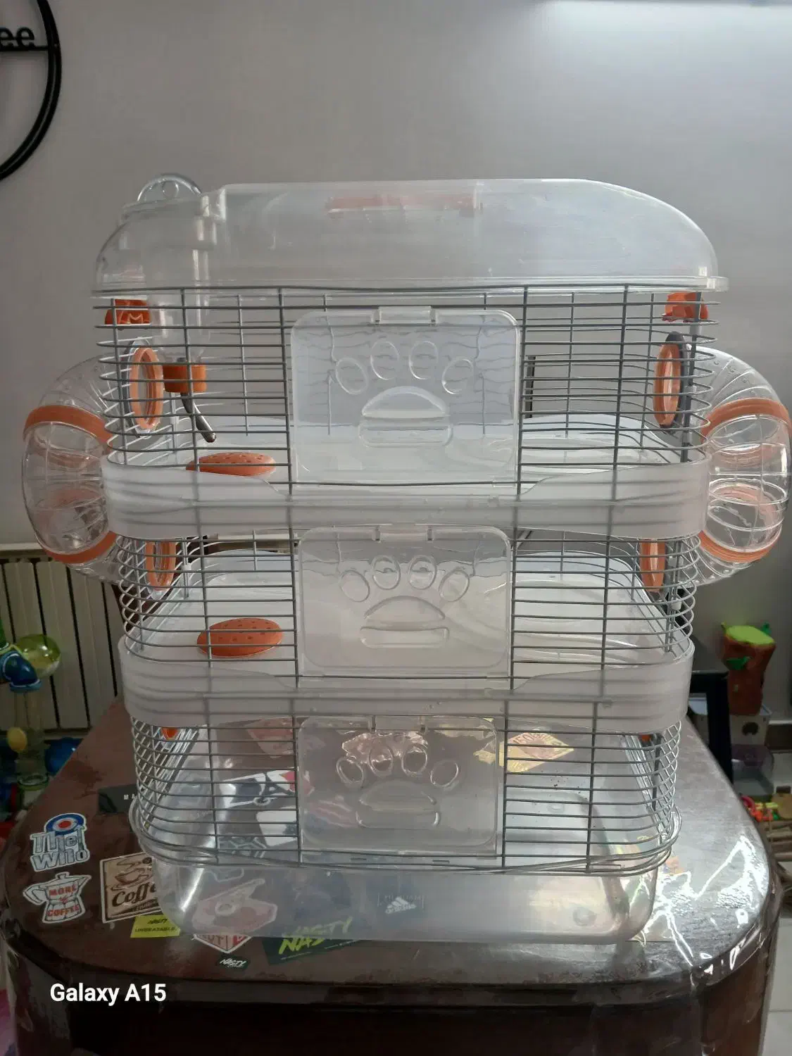 قفس جوندگان|موش و خرگوش|تهران, سازمان برنامه جنوبی|دیوار