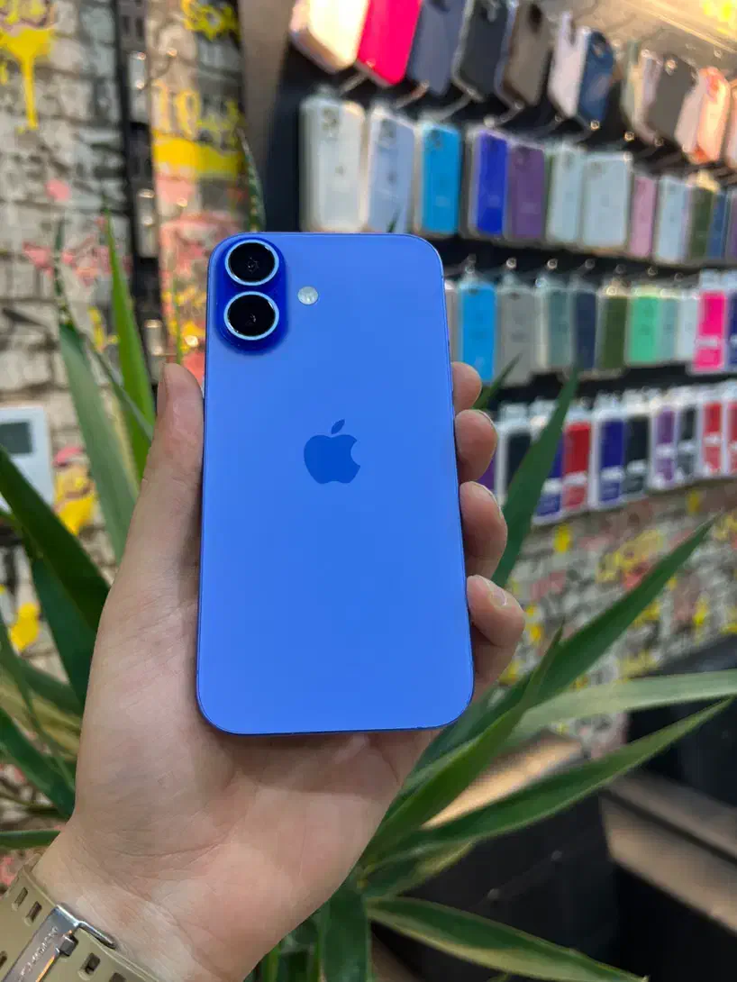iphone 16 normal|موبایل|قم, آلوچو|دیوار