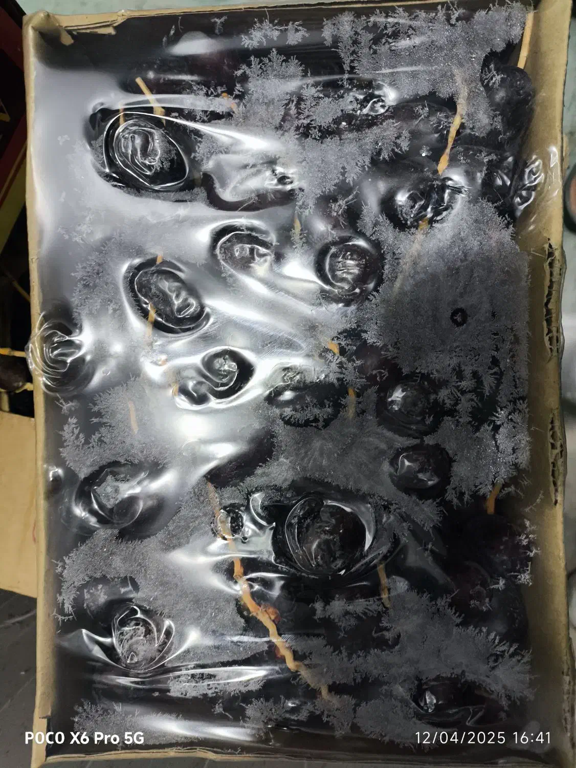 خر. ما|خوردنی و آشامیدنی|تهران, سید خندان (جلفا)|دیوار