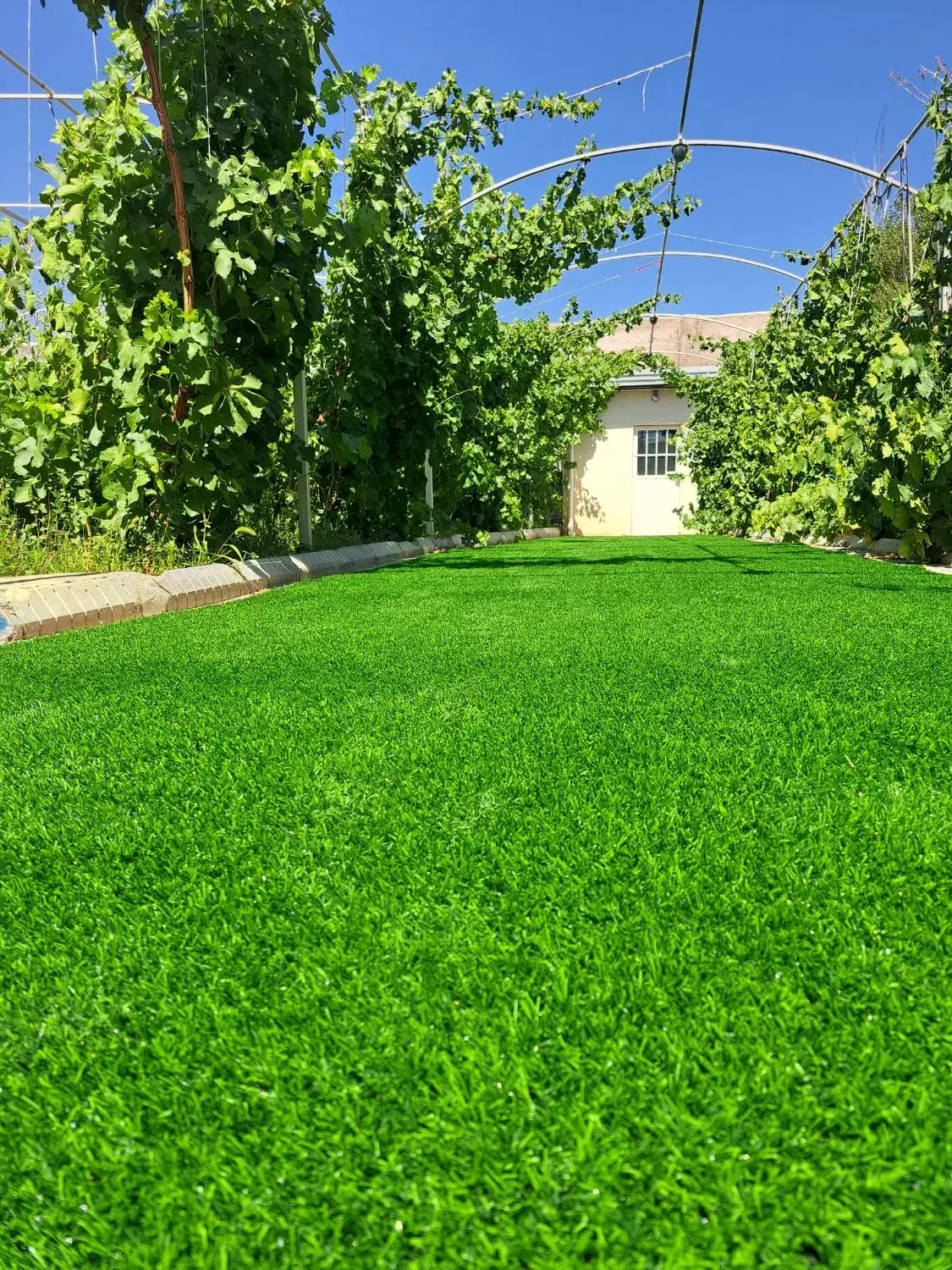 چمنمصنوعی /( ارزان و کیفیت درجه یک//|مصالح و تجهیزات ساختمان|تبریز, |دیوار