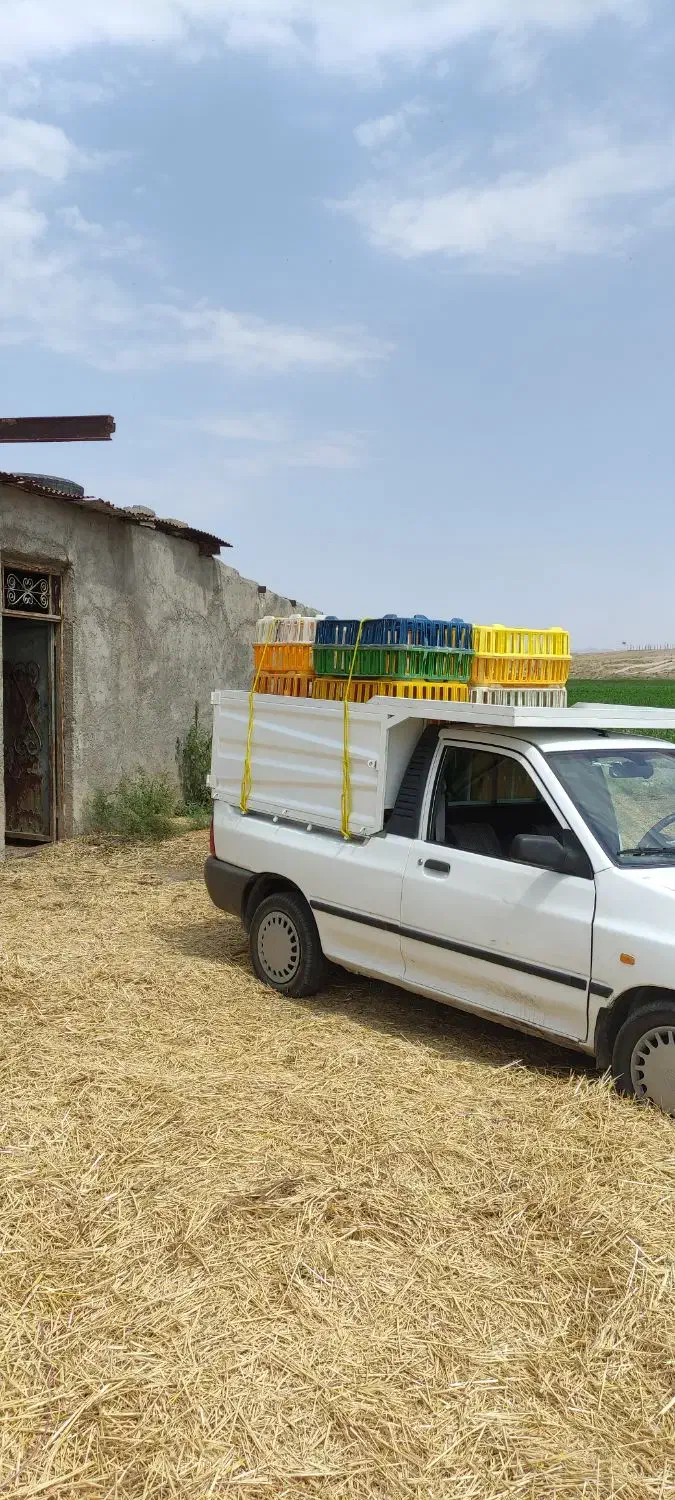 حمل مرغ زنده|خدمات حمل و نقل|مشهد, توس (بلوار توس)|دیوار