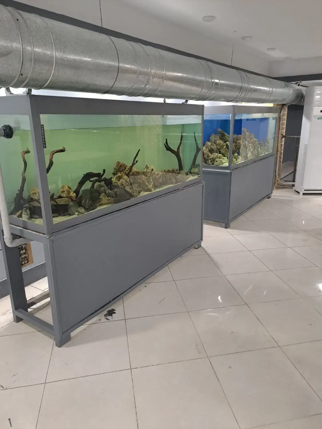 آکواریوم دو متری مناسب کافه رستوران سفره خانه|ماهی|تهران, عباسی|دیوار