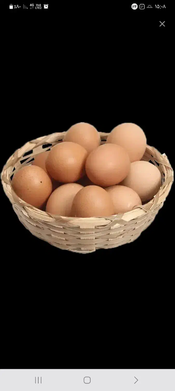 تخم مرغ محلی تحویل درب منزل مخصوص مشتری خاص ۸۰۰۰ ت|خوردنی و آشامیدنی|قوچان, |دیوار