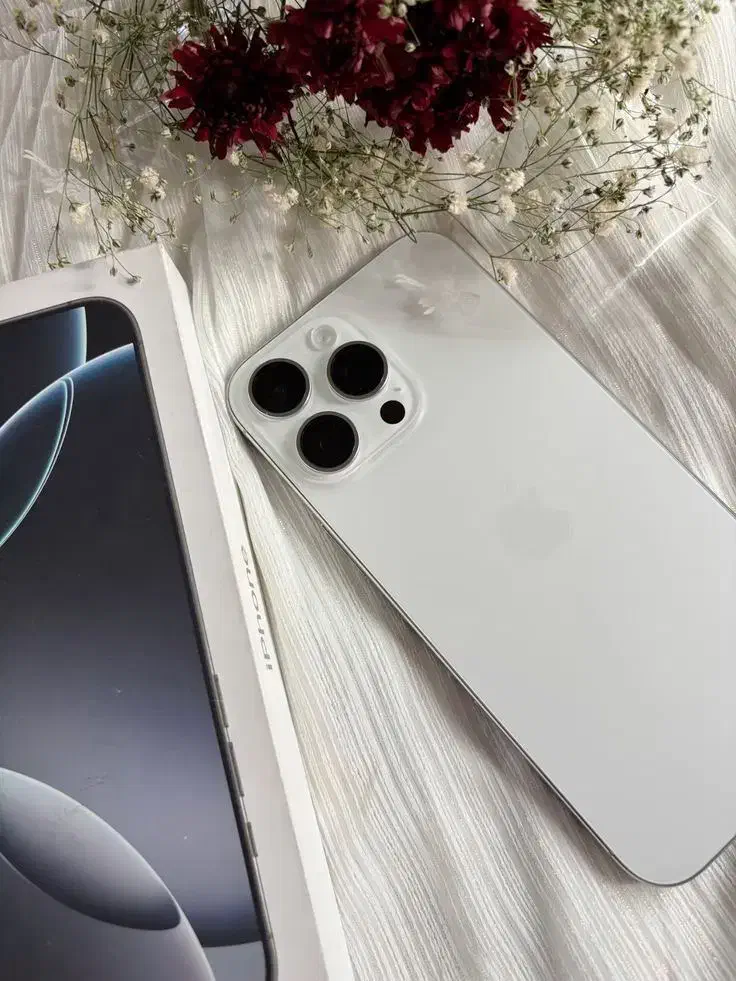 آیفون 12پرو مکس . 12promax|موبایل|اراک, |دیوار