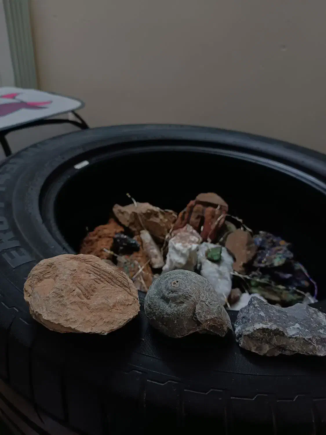 کلکسیون سنگ های زینتی و فسیل صدف و حلزون دریایی|کلکسیون و سرگرمی|اصفهان, جلالیه|دیوار