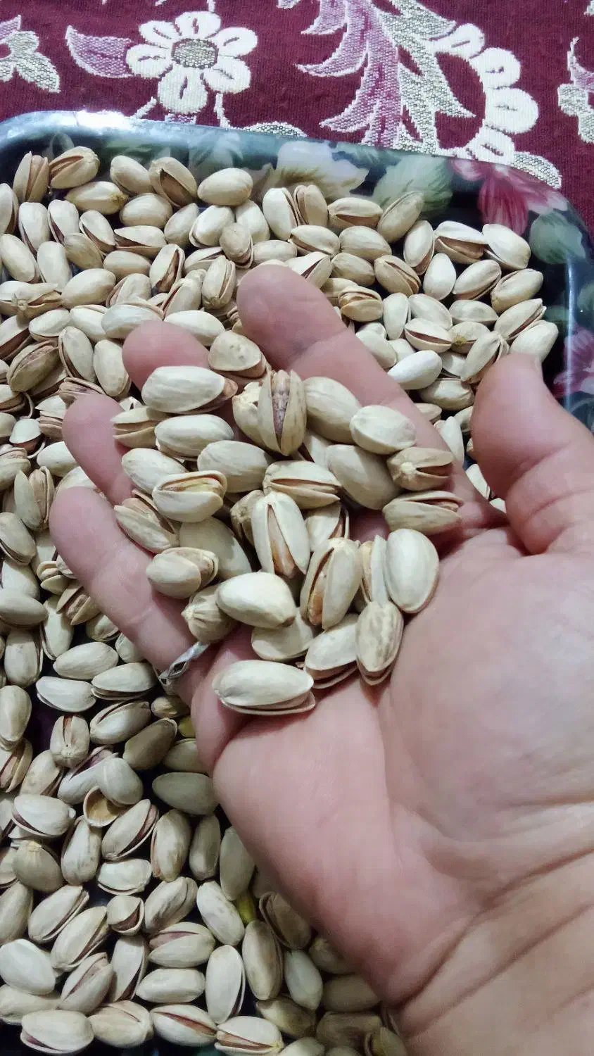 کله قوچی|خوردنی و آشامیدنی|تهران, زنجان جنوبی|دیوار