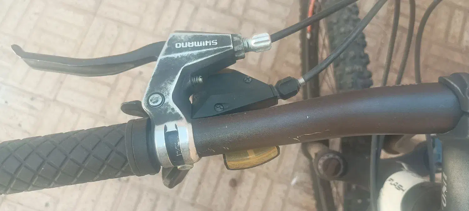 دوچرخه فلش flash|دوچرخه، اسکیت، اسکوتر|شاهینشهر, عطار|دیوار