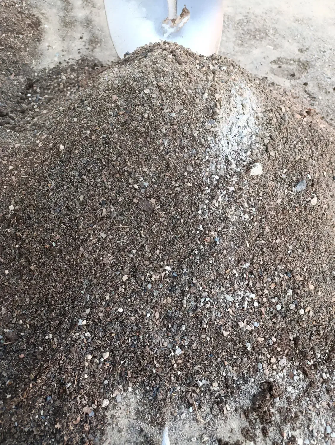 خاک گل کود|گل و گیاه طبیعی|گلبهار, شهر جدید گلبهار|دیوار