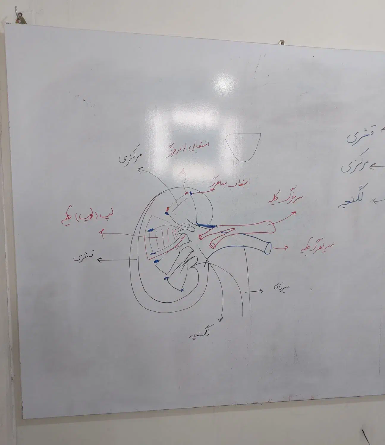 تدریس تمام پایه های تحصیلی|خدمات آموزشی|اهواز, فرهنگ شهر|دیوار