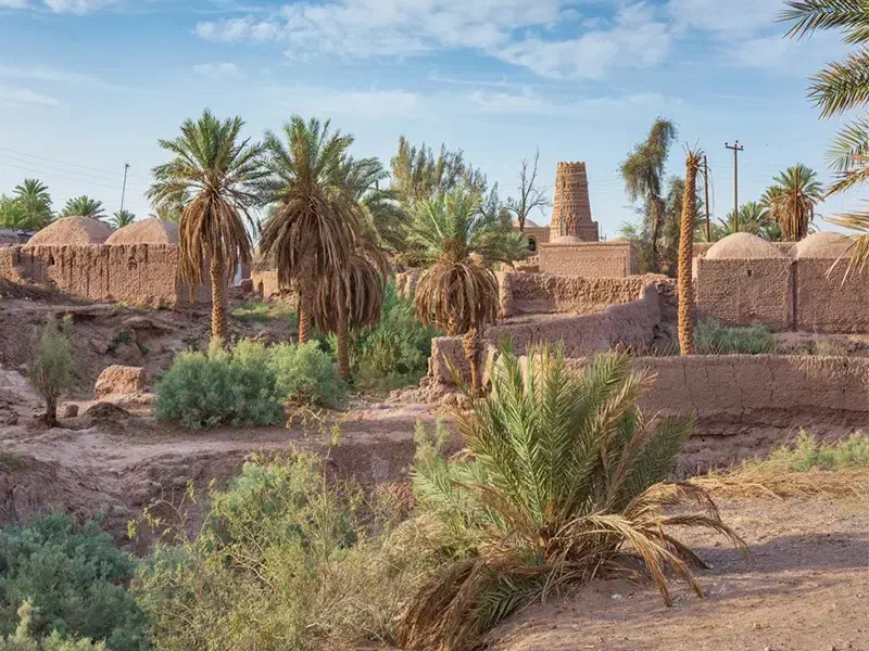 انجام کارهای پاورپوینت|خدمات رایانهای و موبایل|کرمان, |دیوار