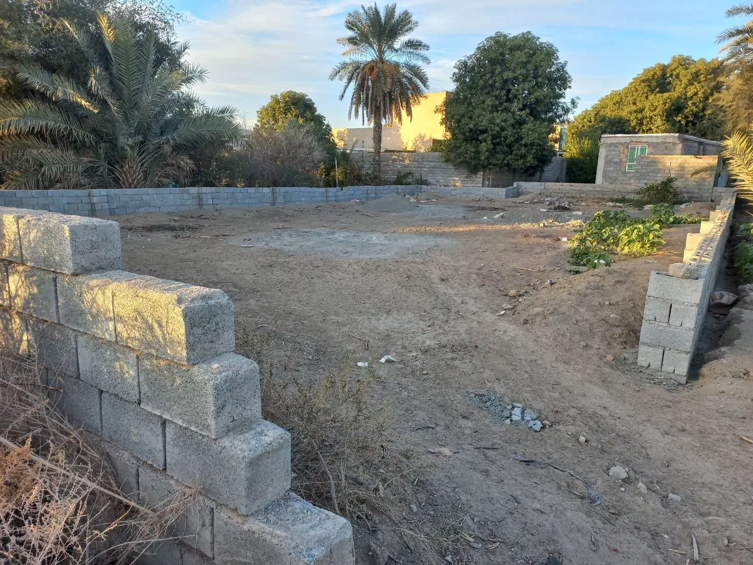 زمین مسکونی نخلستان ۵۱۲ متر|فروش زمین و ملک کلنگی|کهنوج, |دیوار