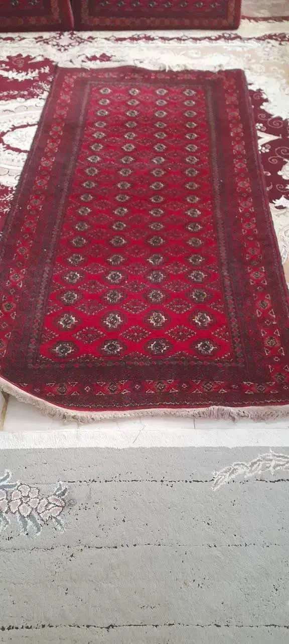 فروش|فرش|تربت‌حیدریه, بی بی حسنیه|دیوار