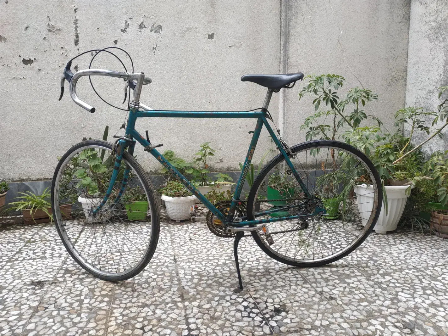 فروش دوچرخه کورسی|دوچرخه، اسکیت، اسکوتر|رشت, امین الضرب|دیوار