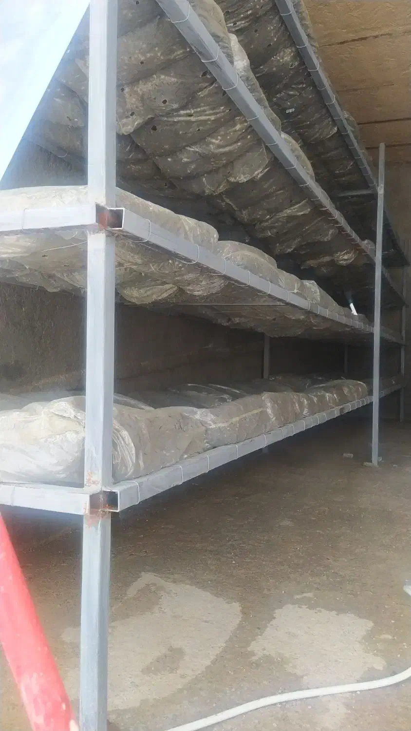 قفسه قارچ|فروشگاه و مغازه|لنجان, |دیوار