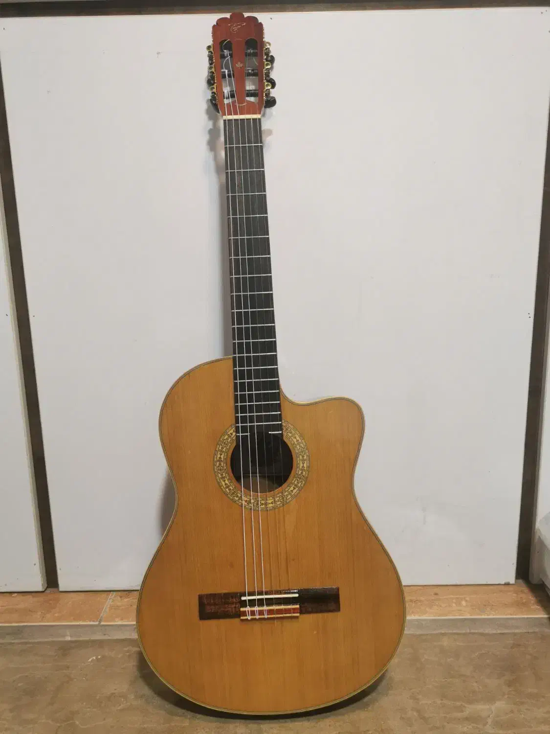 گیتار حرفه ای تاگیما|گیتار، بیس، امپلیفایر|اهواز, طالقانی|دیوار