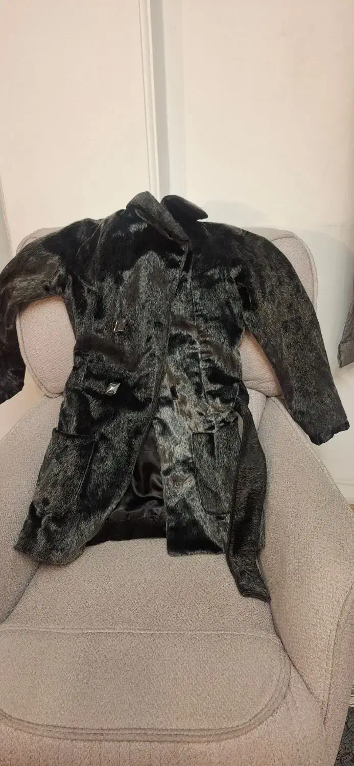 پالتو چند باری پوشیده شده ولی شسته نشده|لباس|تهران, جیحون|دیوار