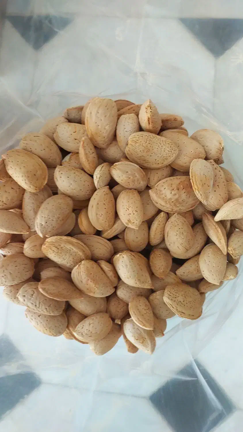 زندگی سالم با محصولات سالم|خوردنی و آشامیدنی|قائن, |دیوار