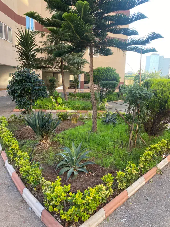 ۹۶ متر دو خواب طبقه ۷ شهرک جام جم ۲|فروش آپارتمان|فریدون‌کنار, |دیوار