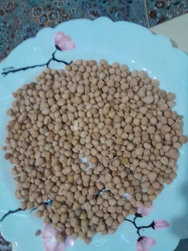 نخود|خوردنی و آشامیدنی|قزوین, |دیوار