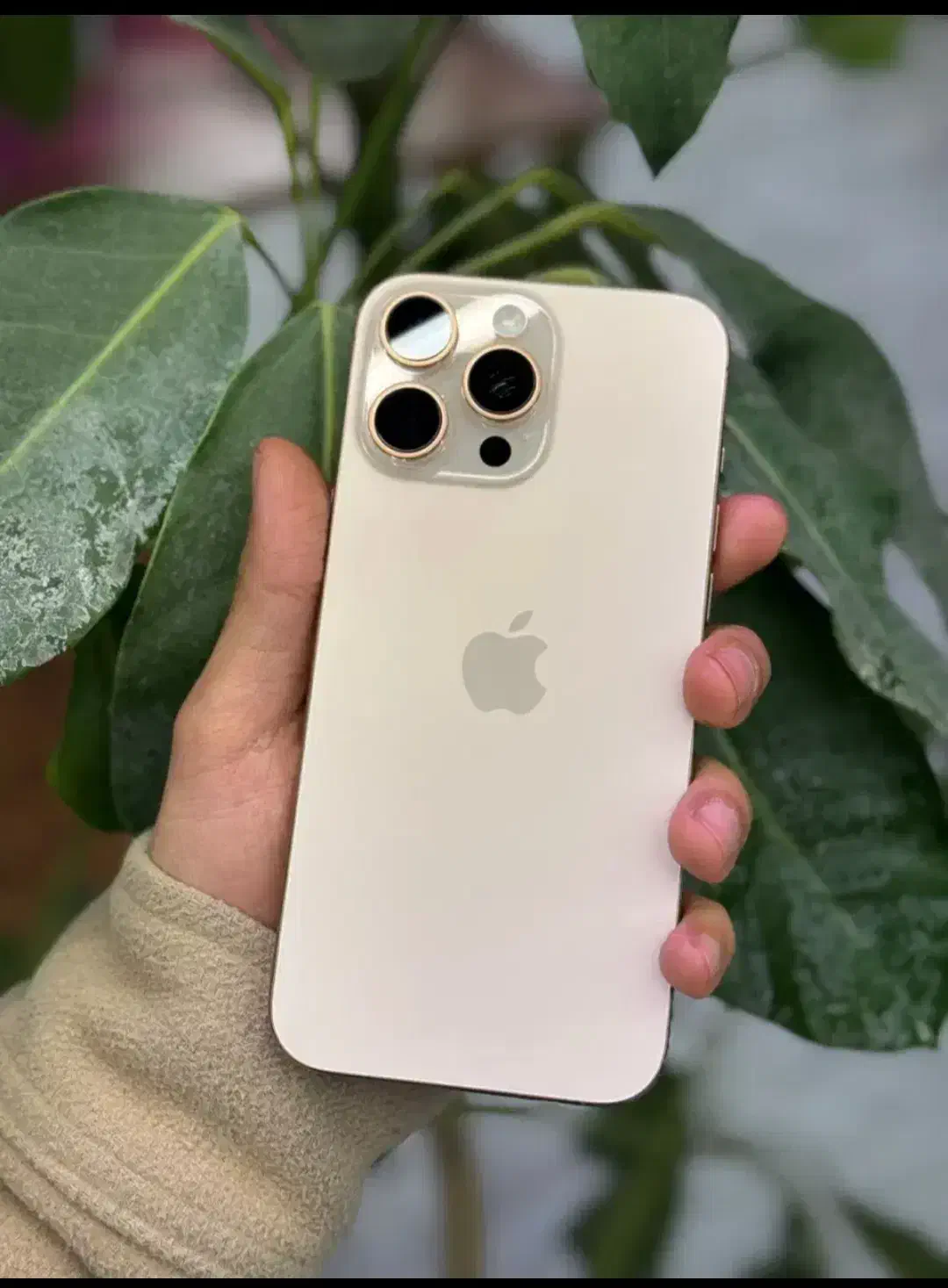 16پرومکس 512|موبایل|بندرعباس, |دیوار