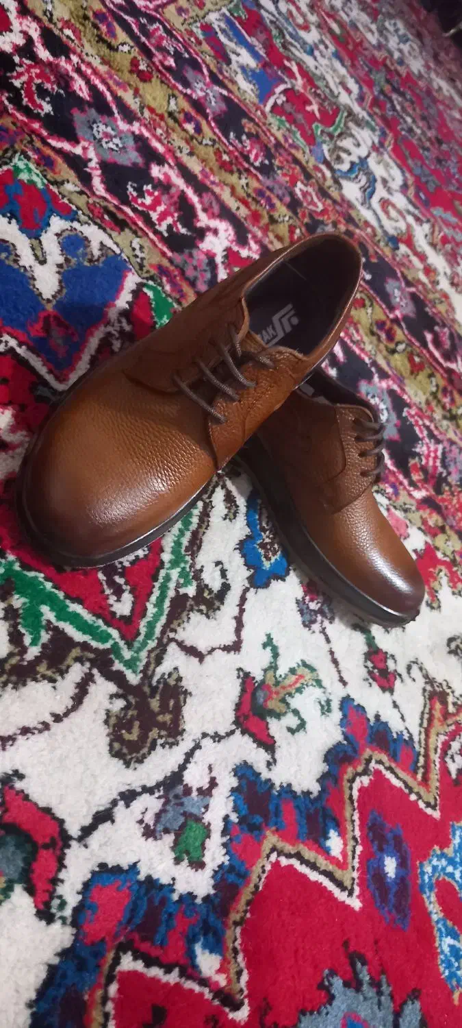 دوجفت کفش مردانه|کیف، کفش، کمربند|تبریز, |دیوار