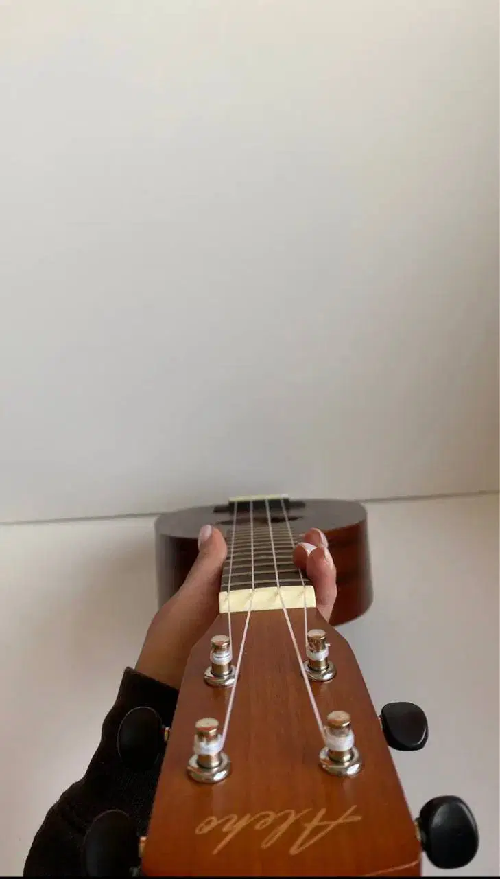یوکوللی Ukulele Aleho|گیتار، بیس، امپلیفایر|تهران, فرمانیه|دیوار