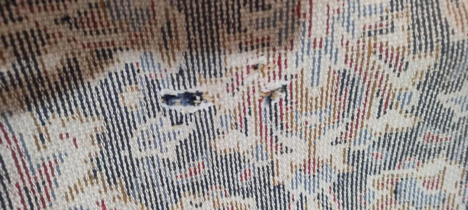 فرش|فرش|بهارستان, |دیوار