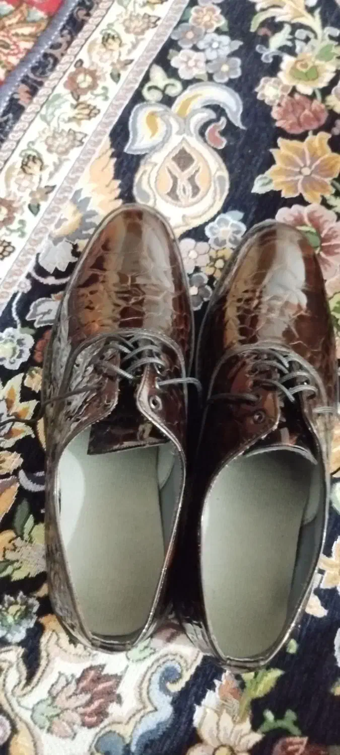 کفش مجلسی|کیف، کفش، کمربند|سراوان, |دیوار