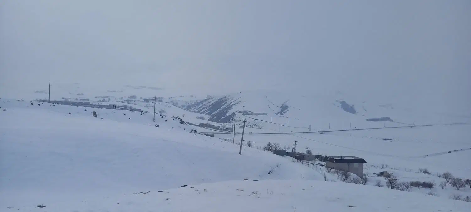 زمین|فروش زمین و ملک کلنگی|سنقر, |دیوار