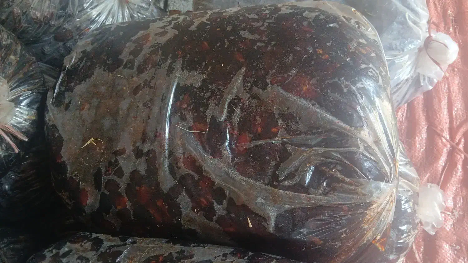 خرما دونه و شیره دار...|عمده‌فروشی|میناب, |دیوار