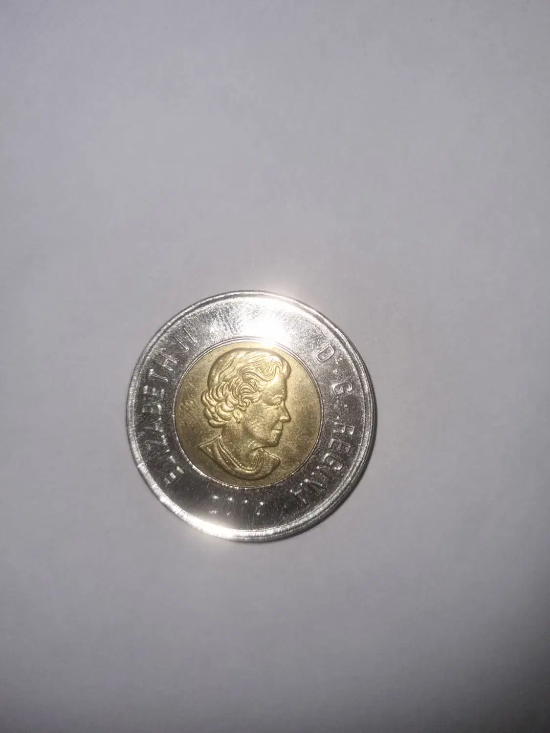 سکه ۲ دلاری کانادا - ۲۰۱۴ - نقش خرس گریزلی|کلکسیون سکه، تمبر، اسکناس|تهران, هفت حوض|دیوار