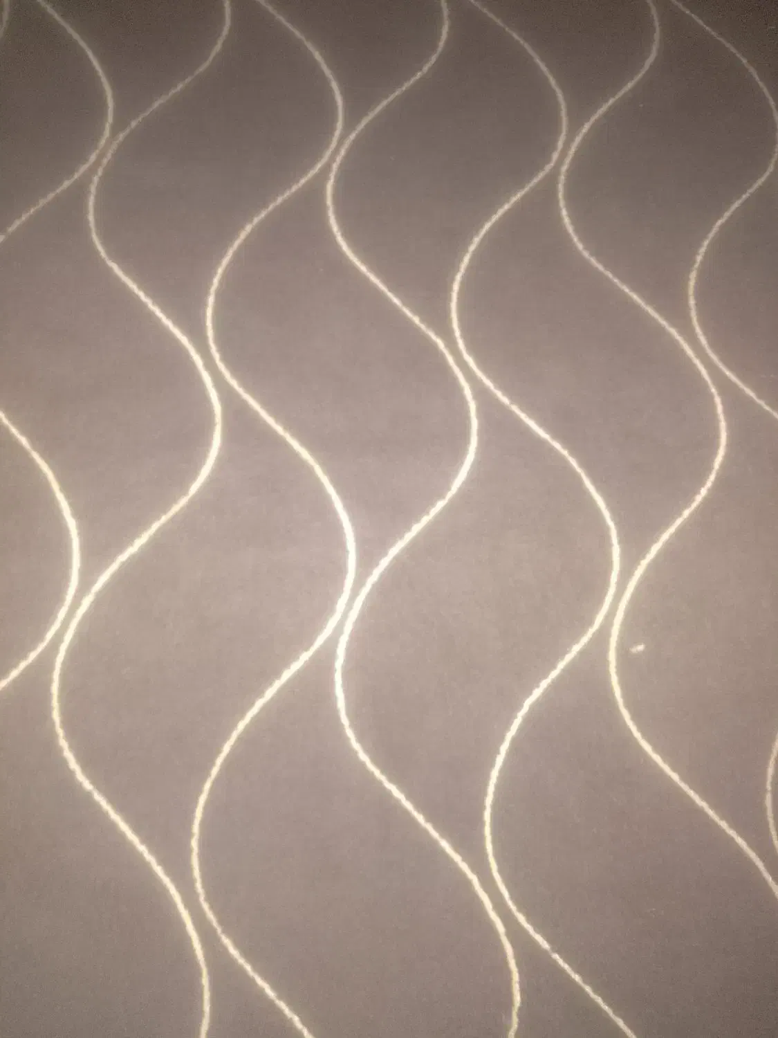 موکت و فرش|موکت|آق قلا, |دیوار