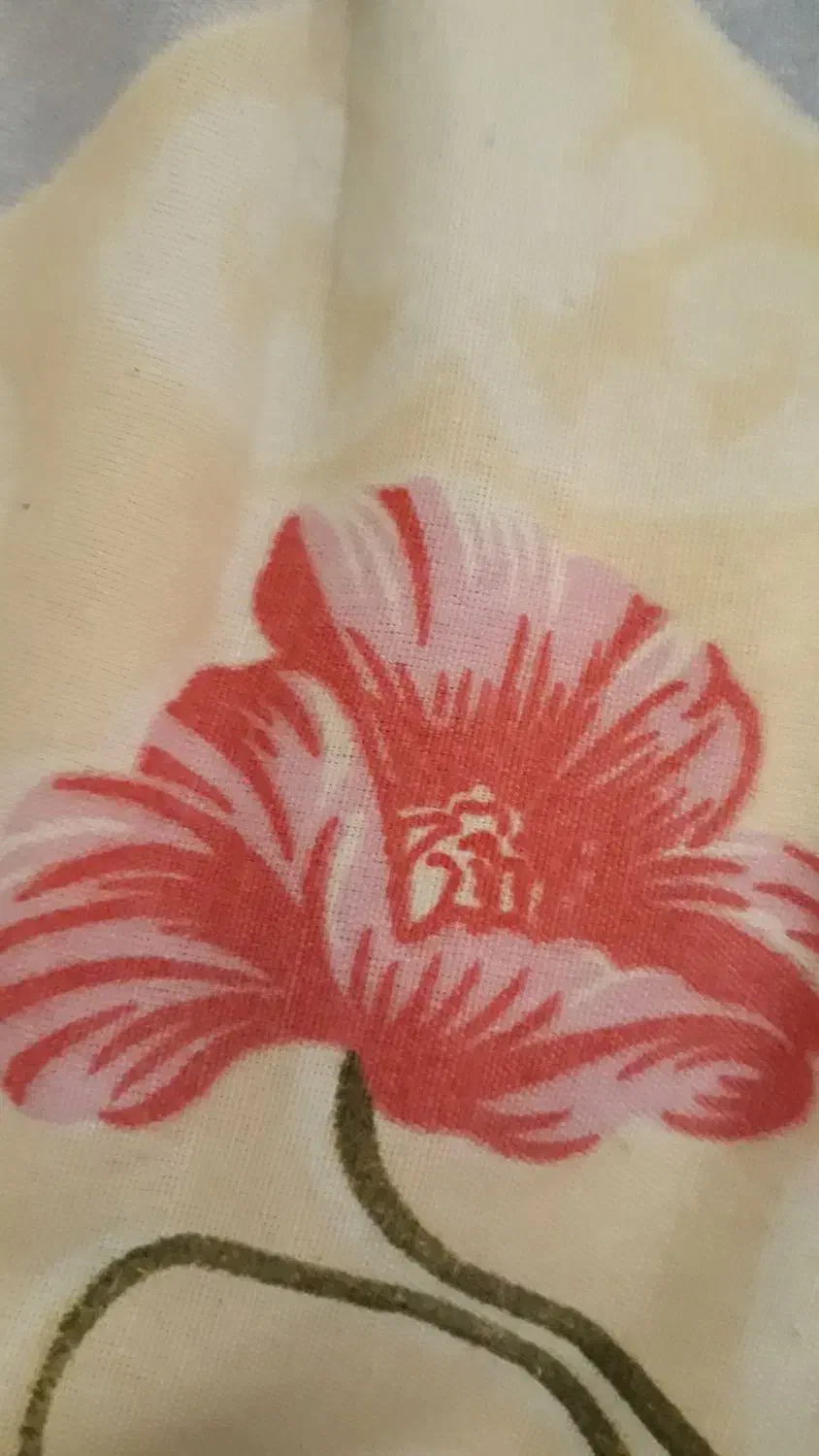 راهنمایی میخواستم|فعالیت داوطلبانه|مشهد, شهید هاشمی نژاد|دیوار