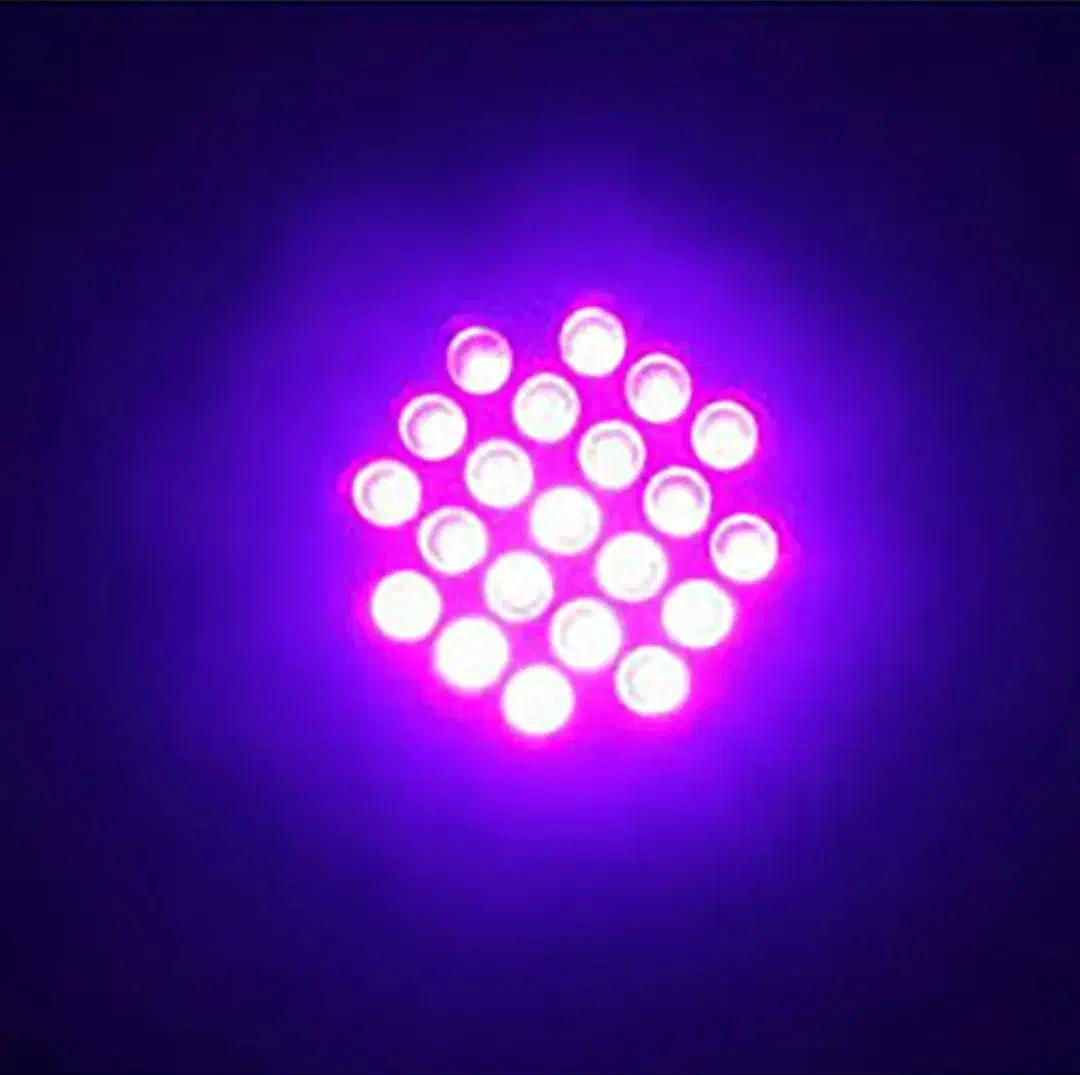 چراغ قوه یو وی|لامپ و چراغ|بم, |دیوار