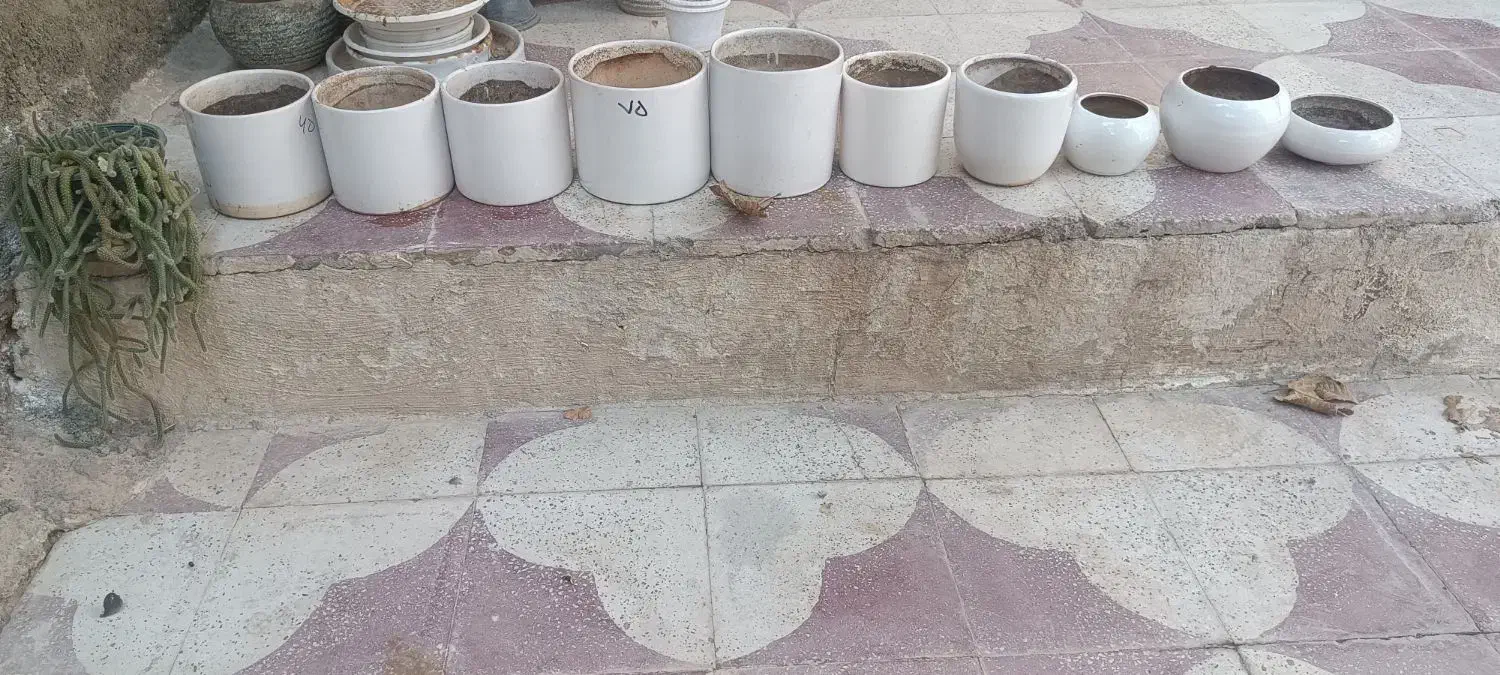 گلدون های فروشی|گل و گیاه طبیعی|جهرم, |دیوار