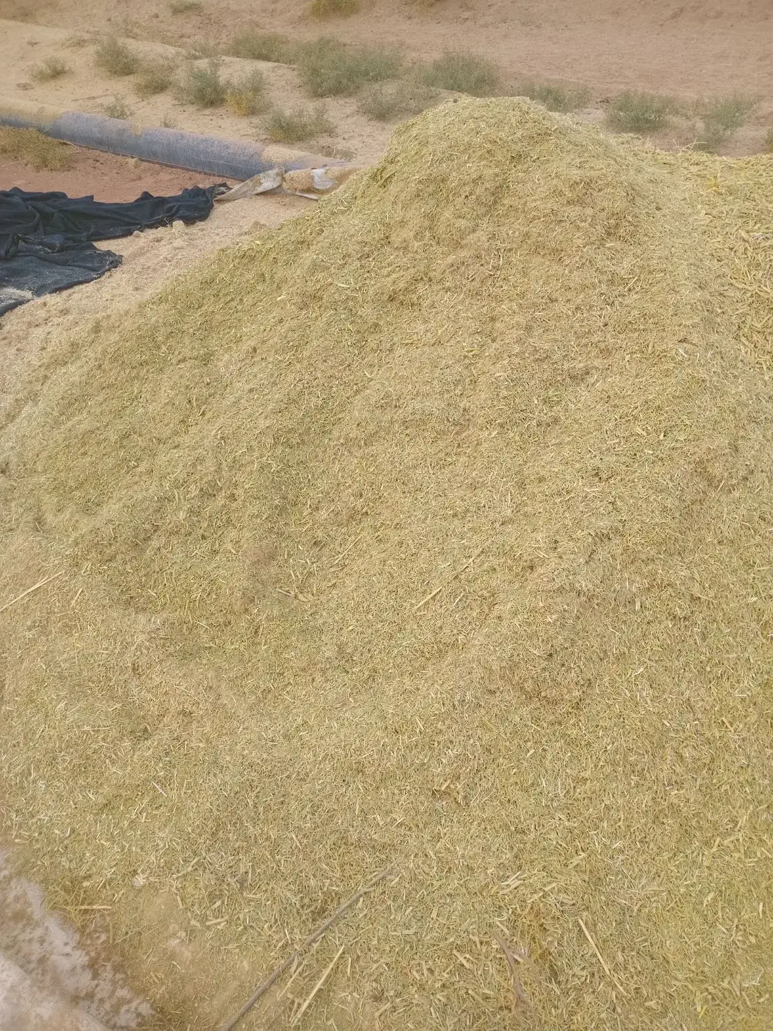 کاه|لوازم جانبی حیوانات|تربت جام, حافظ|دیوار