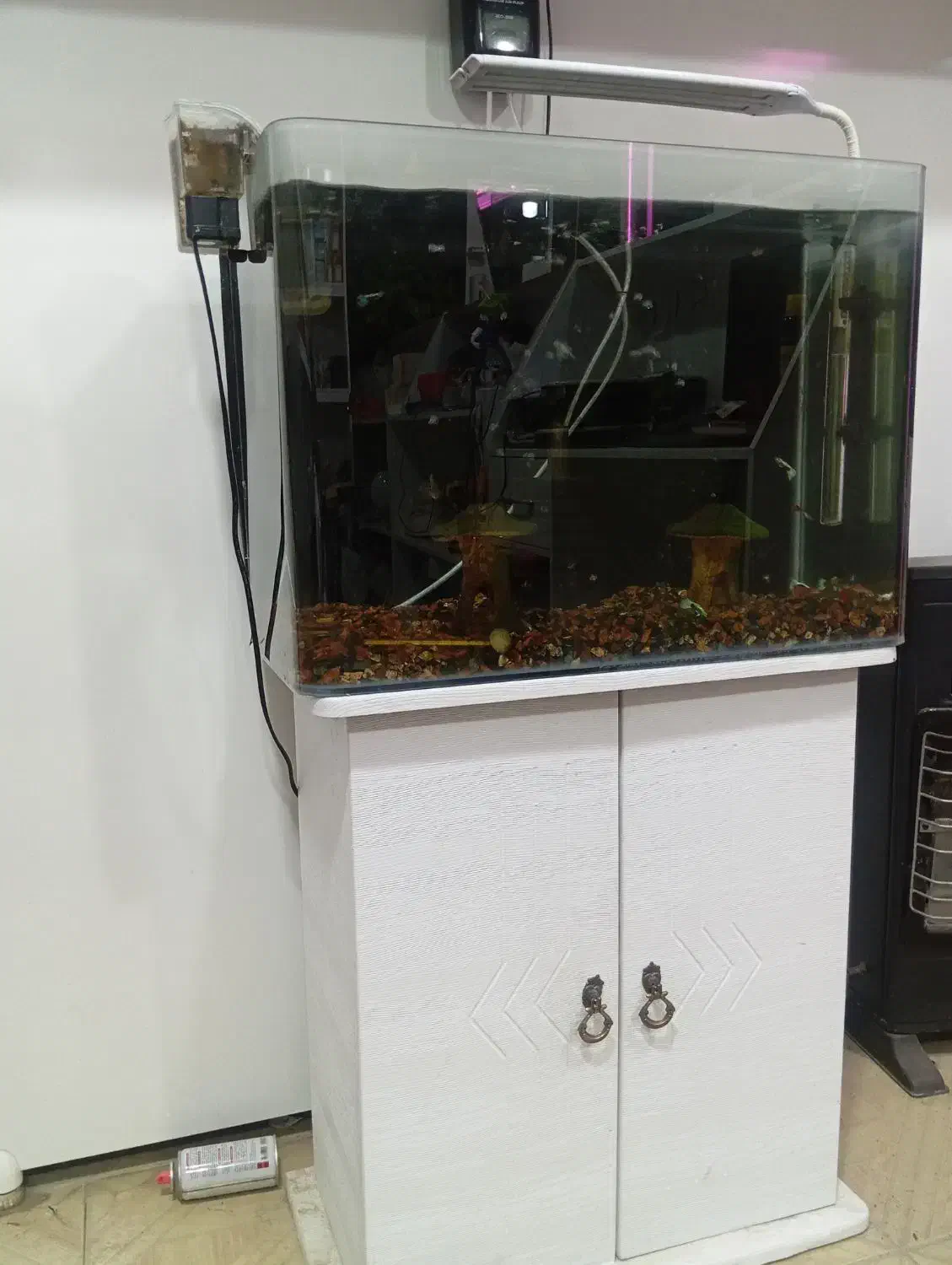 اکواریوم بالوازم وکمدزیرش|ماهی|اصفهان, ارغوانیه|دیوار