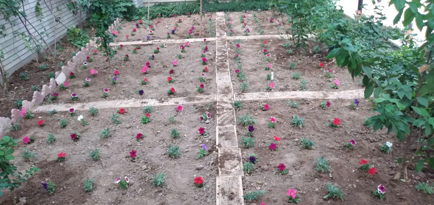 انواع خدمات باغبانی|خدمات باغبانی و درختکاری|اهواز, کیانپارس |دیوار