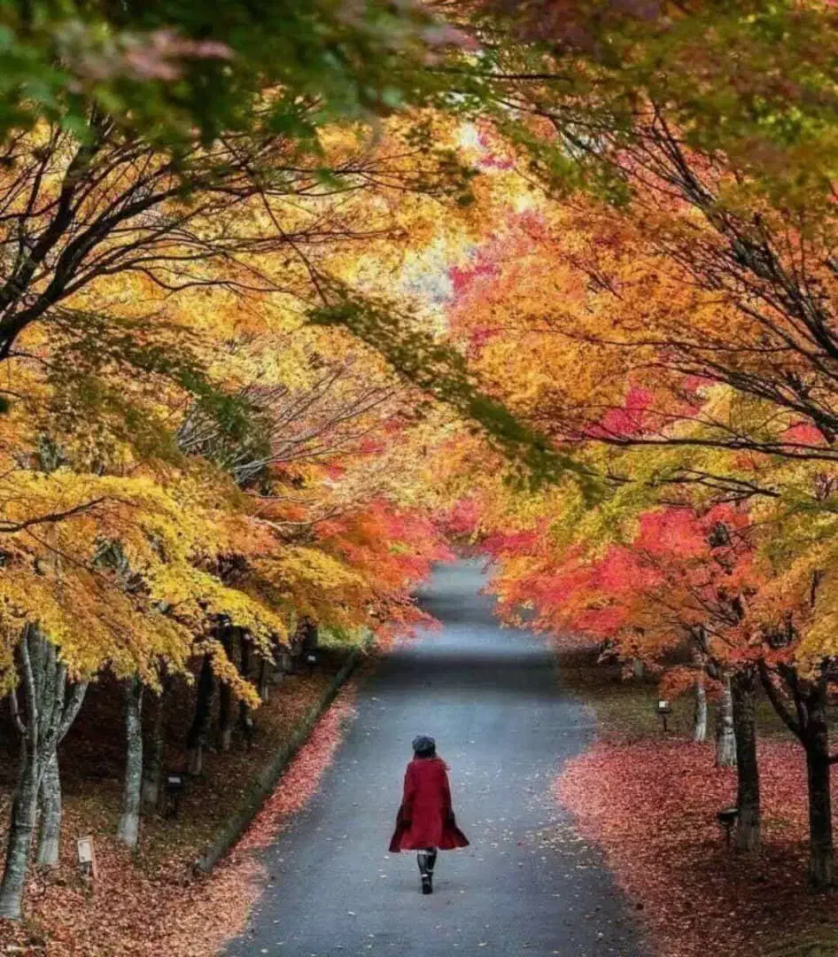 خونه رهن|فعالیت داوطلبانه|بندر گناوه, |دیوار