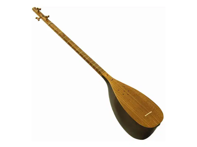 آموزش ساز تنبور.تار|خدمات آموزشی|همدان, |دیوار