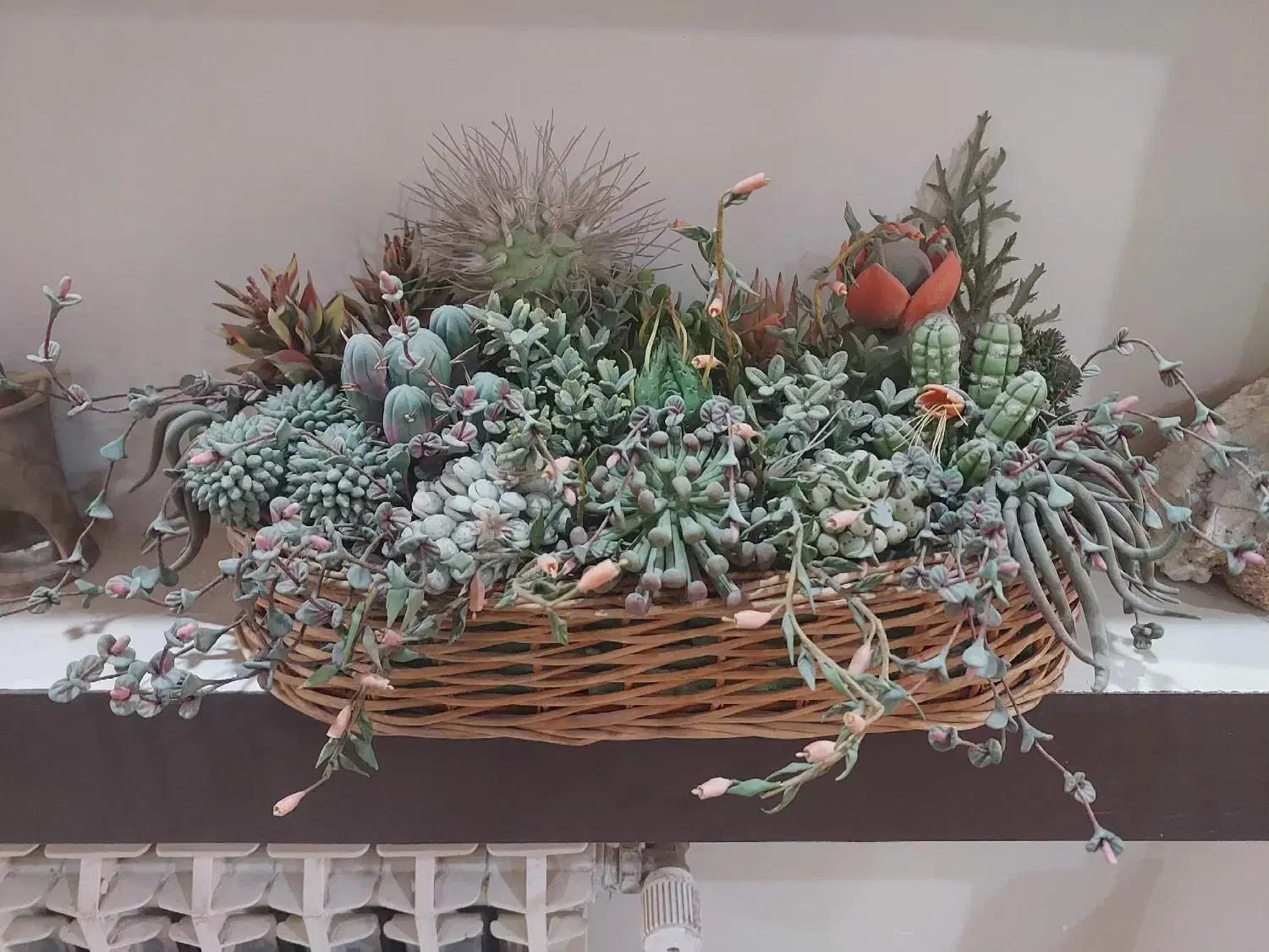 سبد کاکتوس دست ساز|گل مصنوعی|تهران, صادقیه|دیوار
