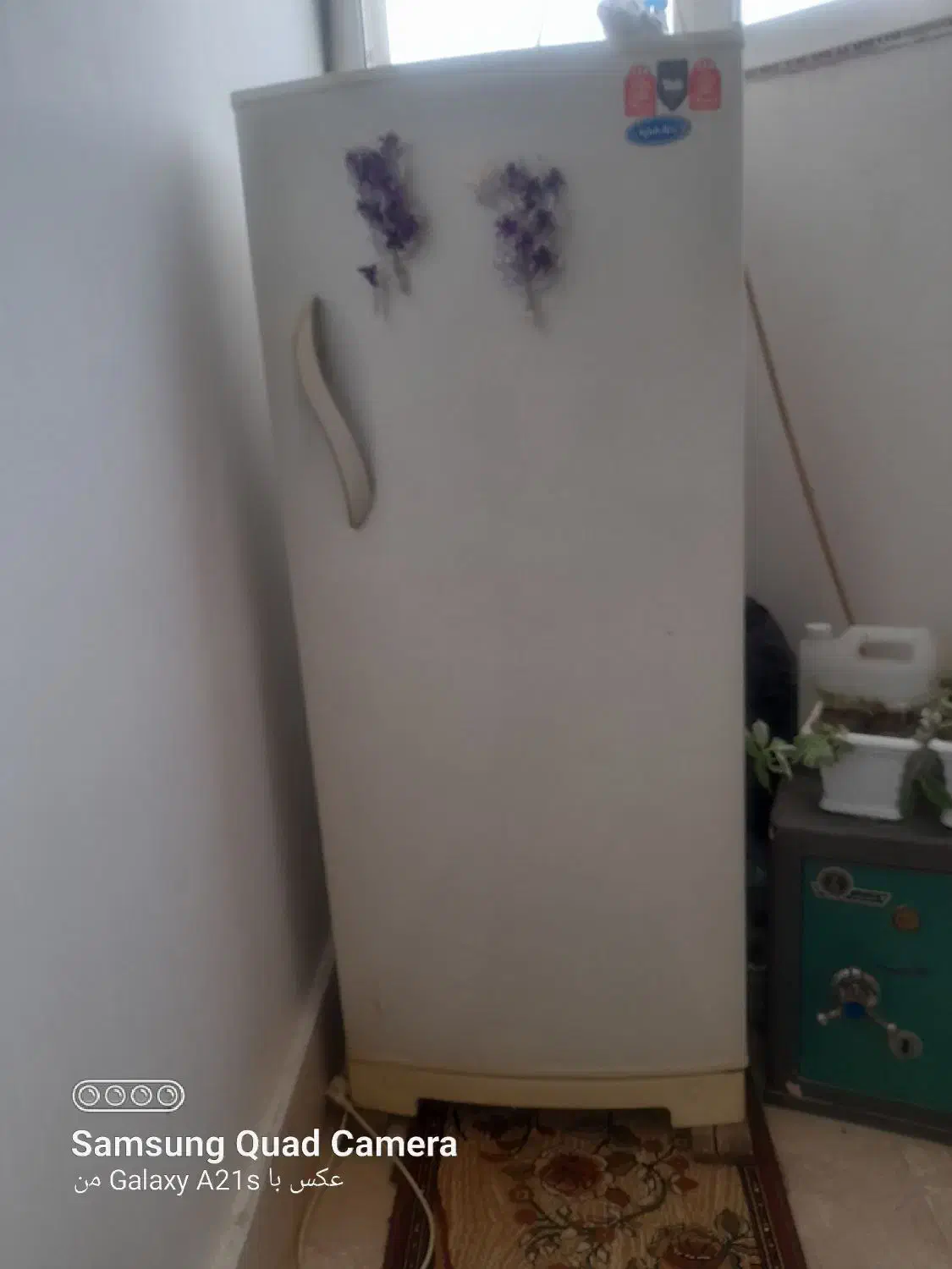 یخچال سالم|یخچال و فریزر|نوشین شهر, |دیوار