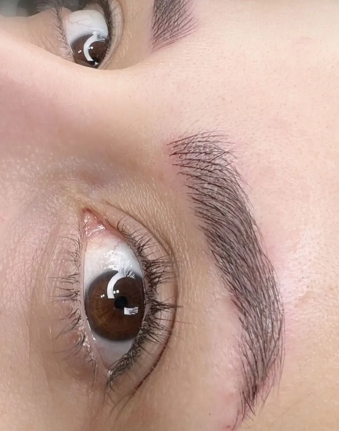 مدل میکروبلیدینگ ابرو|خدمات آرایشگری و زیبایی|نیشابور, شهرک فرهنگیان|دیوار