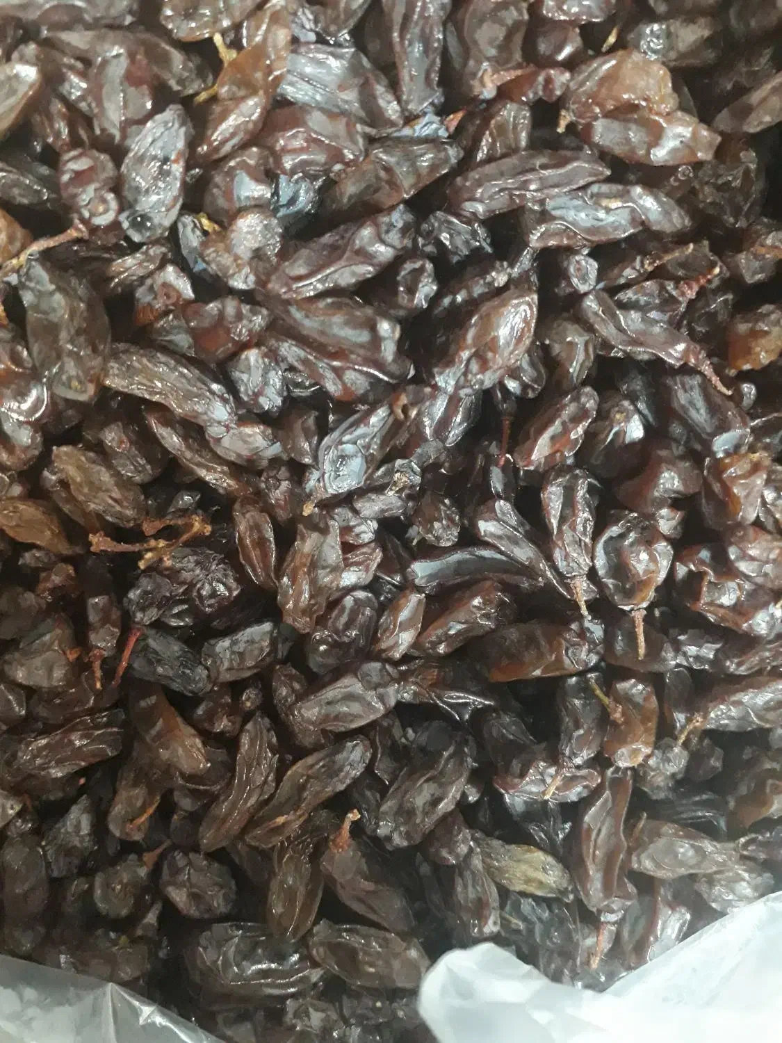 کشمش افتابی خوش طعم|خوردنی و آشامیدنی|مشهد, موسوی قوچانی|دیوار