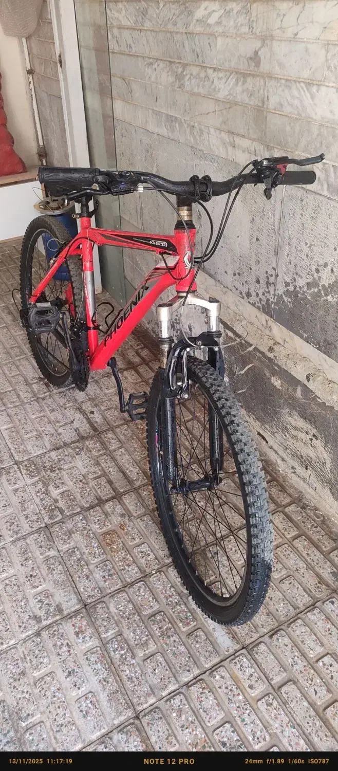 دوچرخه فونیکس|دوچرخه، اسکیت، اسکوتر|فریدونشهر, |دیوار