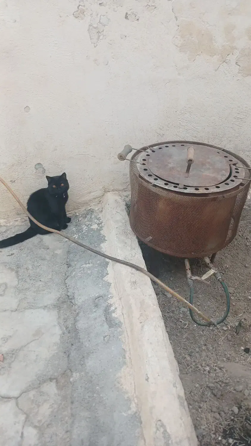 تنورگازی|اجاق گاز و لوازم برقی پخت‌وپز|صفادشت, |دیوار