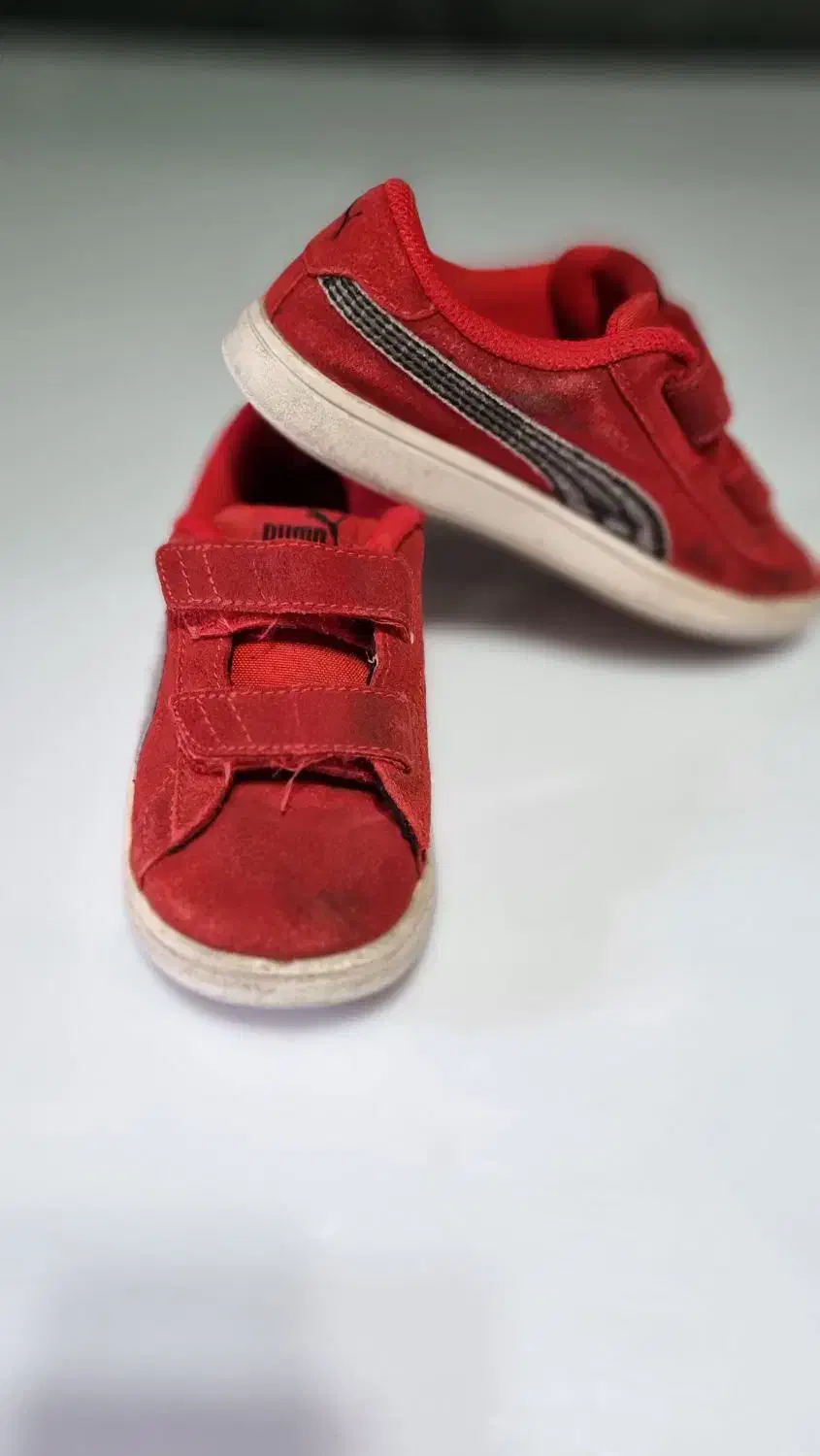 کفش اورجینال پوما|کیف، کفش، کمربند|تهران, شهرک طالقانی|دیوار