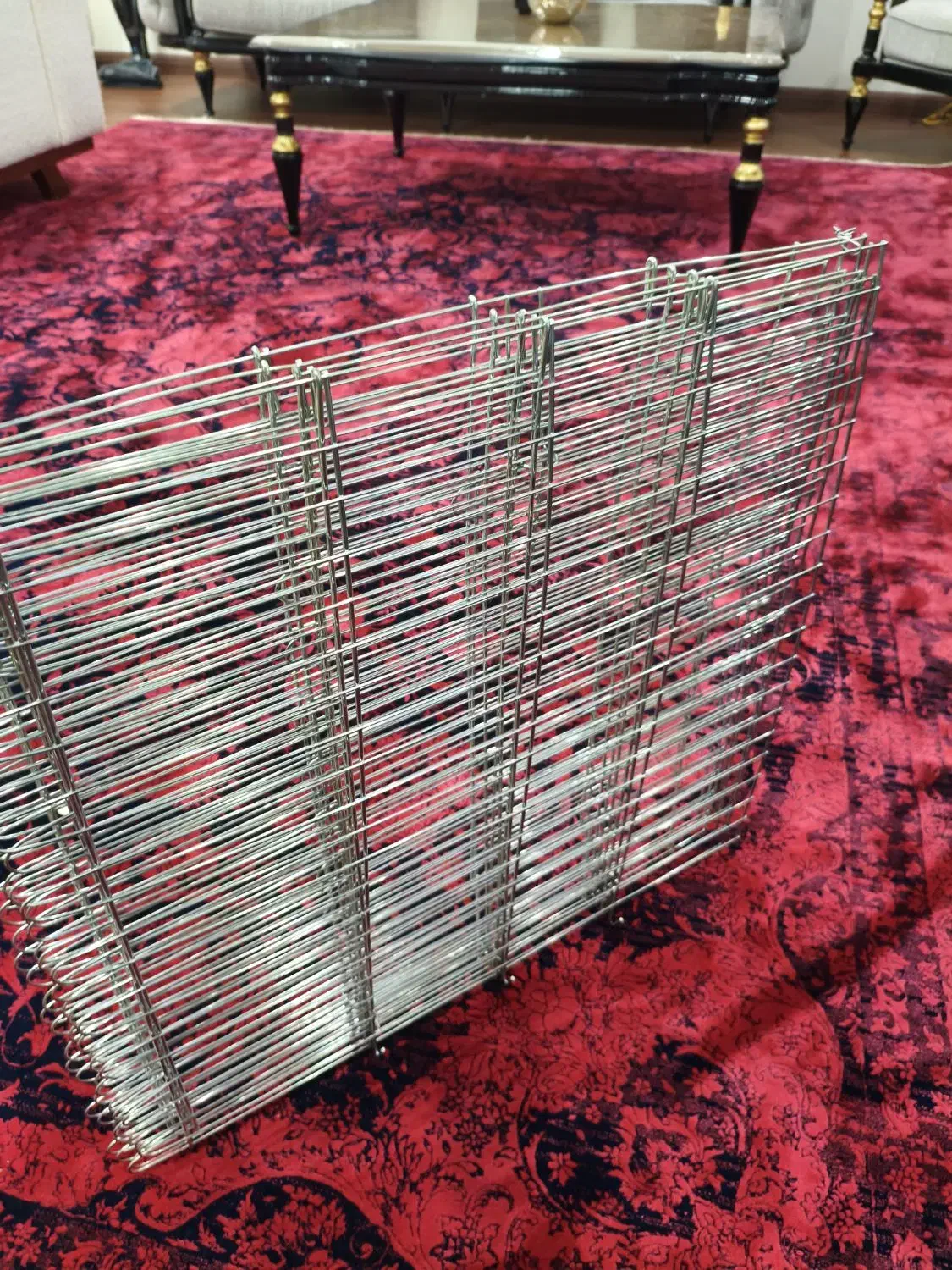 پارک سگ|لوازم جانبی حیوانات|کرج, عظیمیه|دیوار