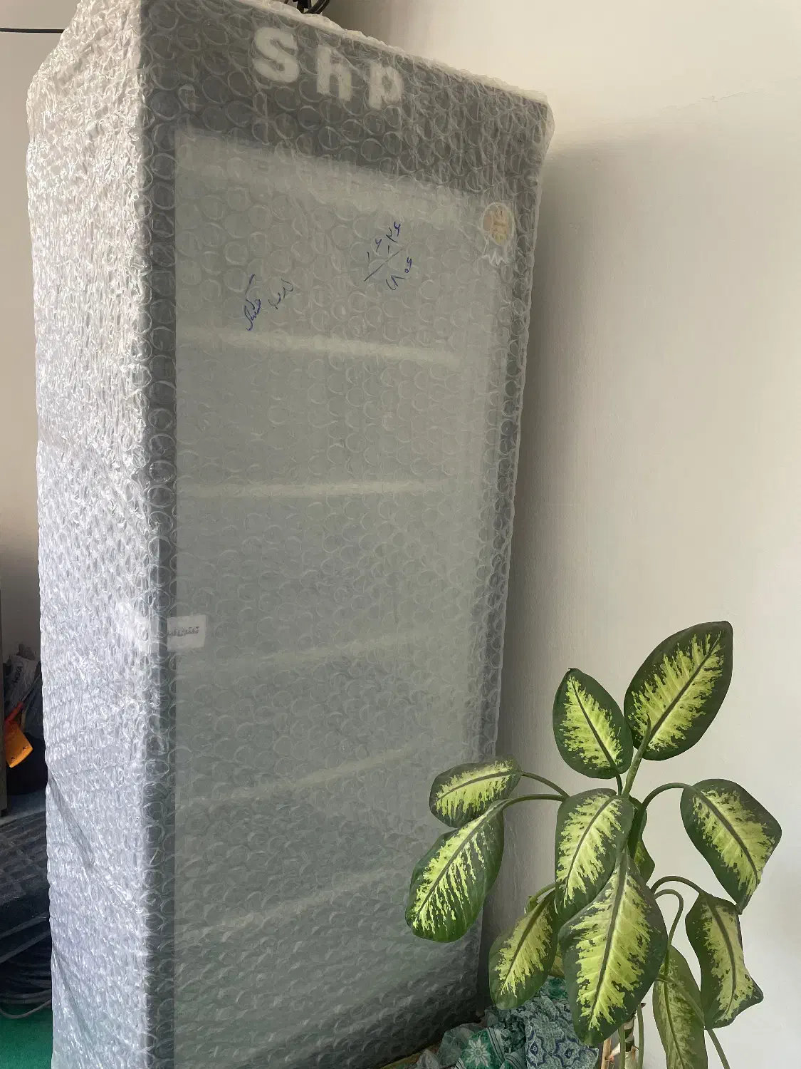 یخچال فروشگاهی ایستاده تک در|فروشگاه و مغازه|آمل, |دیوار